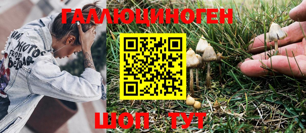 Качканар  Галлюциногенные грибы Cubensis  Вход с VPN 