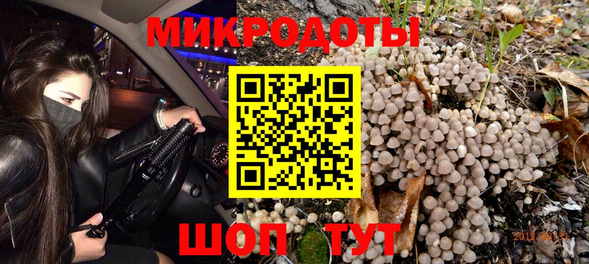 Галлюциногенные грибы GOLDEN TEACHER Качканар